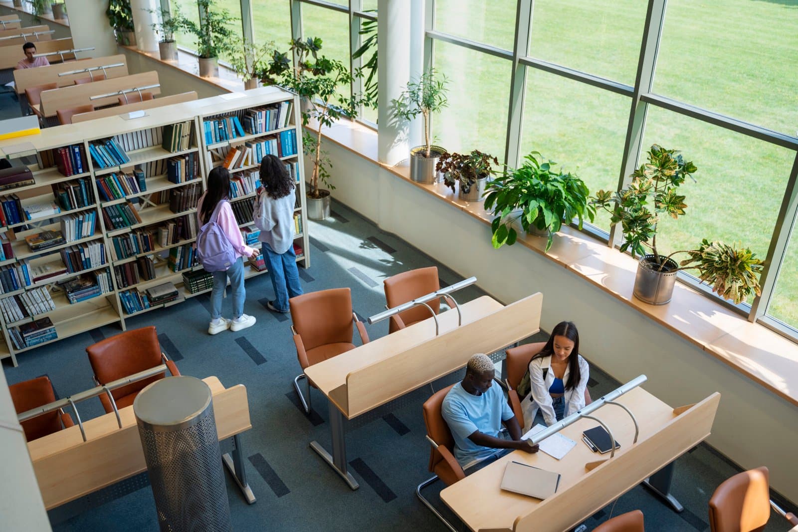 Students learning in an international academic setting